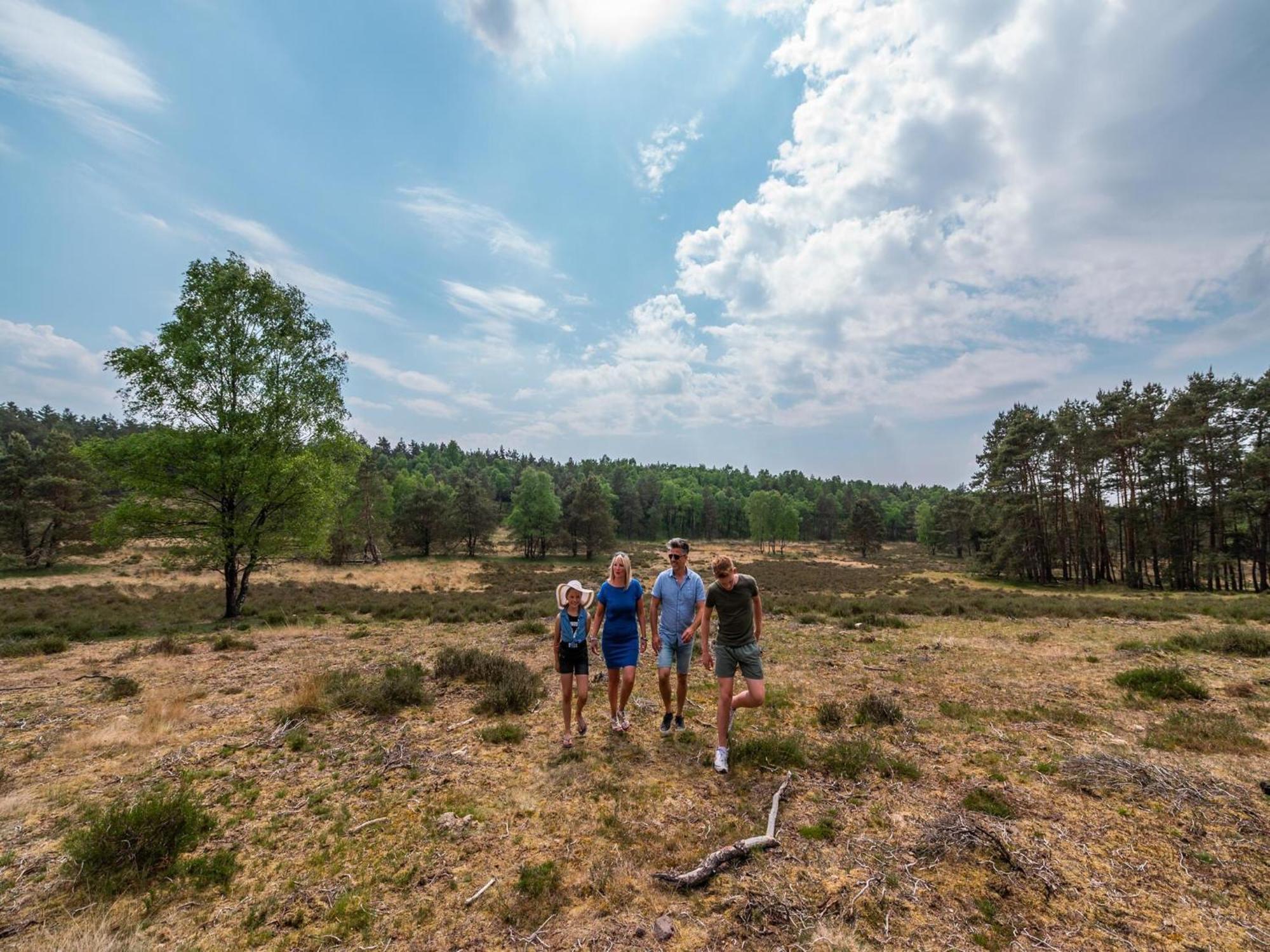 In A Park, Adjacent To The Hoge Veluwe National Park Arnhem
